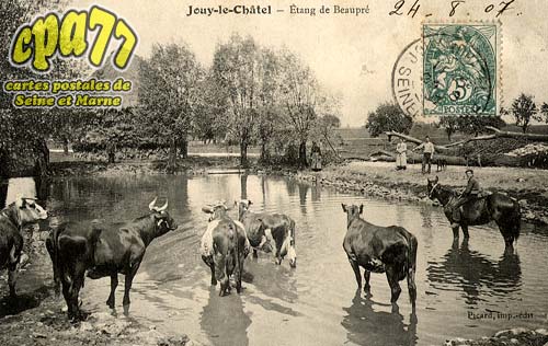 Jouy Le Chtel - Etang de Beaupr