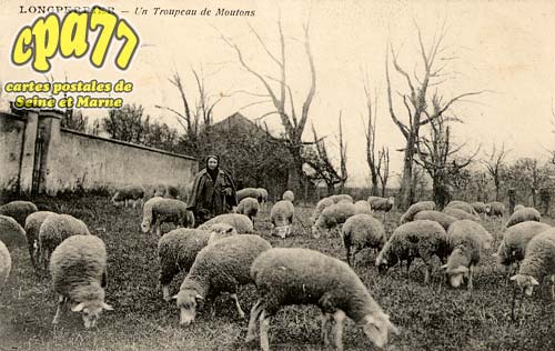 Longperrier - Un Troupeau de Moutons