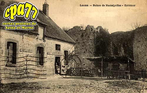 Louan Villegruis Fontaine - Ruines de Montaiguillon
