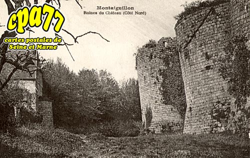 Louan Villegruis Fontaine - Montaiguillon - Ruines du Chteau (ct Nord)