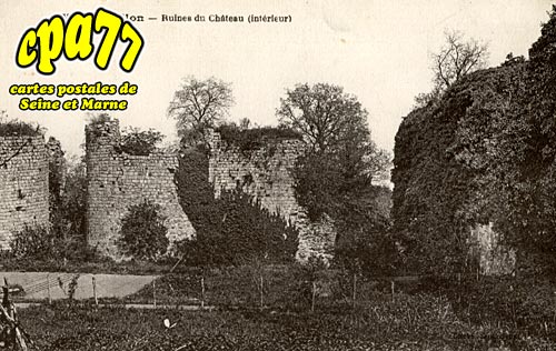 Louan Villegruis Fontaine - Montaiguillon - Ruines du Chteau (intrieur)