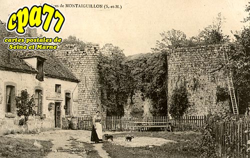 Louan Villegruis Fontaine - Les Ruines de Montaiguillon