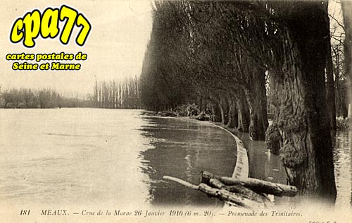 Meaux - Crue de la Marne 26 Janvier 1910 (6m20) - Promenade des Trinitaires