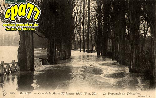 Meaux - Crue de la Marne 26 Janvier 1910 (6m20) - La Promenade des Trinitaires