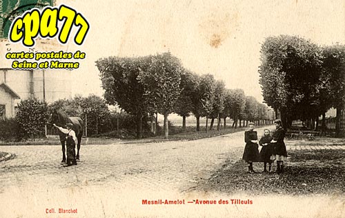 Le Mesnil Amelot - Avenue des Tilleuls