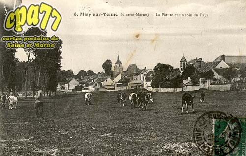 Misy Sur Yonne - La Pture et un coin du Pays