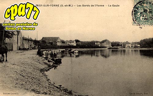 Misy Sur Yonne - Les bords de l'Yonne- La Gaule