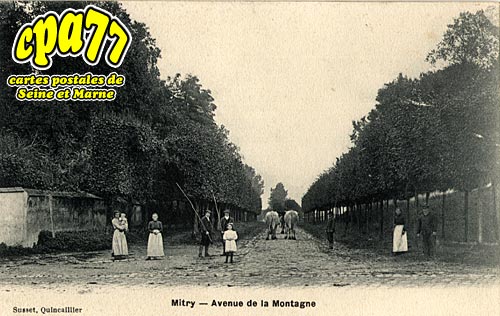 Mitry Mory - Avenue de la Montagne