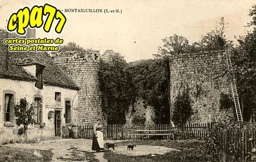 Montceaux Ls Provins - Les Ruines de Montaiguillon