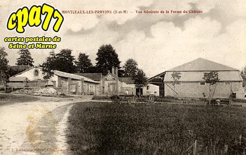Montceaux Ls Provins - Vue Gnrale de la Ferme du Chteau17