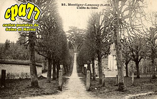 Montigny Lencoup - L'Allée du Cèdre