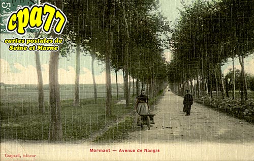 Mormant - Avenue de Nangis