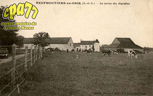 Neufmoutiers En Brie - La Ferme des Aigrefins
