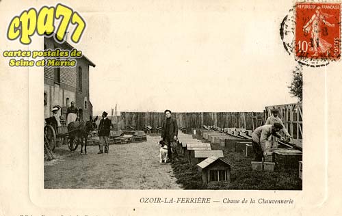 Ozoir La Ferrière - Chasse de la Chauvennerie