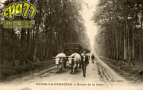 Ozoir La Ferrière - Route de la Gare