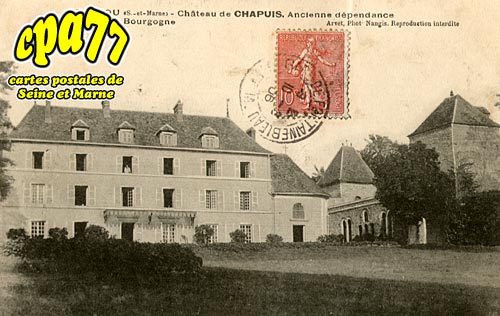 Pamfou - Château de Chapuis - Ancienne dépendance des Ducs de Bourgogne