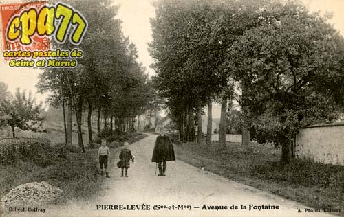 Pierre Leve - Avenue de la Fontaine