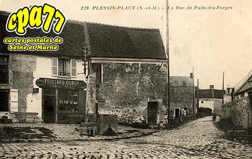 Le Plessis Placy - La Rue du Puits-des-Forges