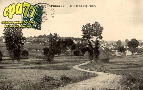 Puisieux - Route de Champ-Fleury