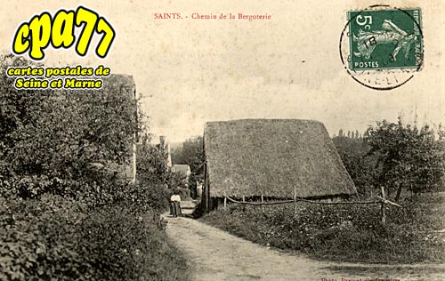 Saints - Chemin de la Bergoterie