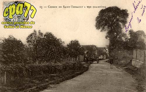 St Thibault Des Vignes - Chemin de Saint-Thibault - Vue Champtre