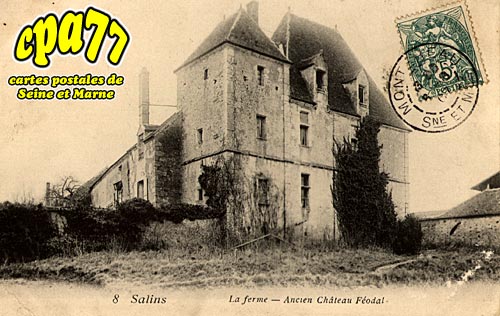 Salins - La Ferme - Ancien Chteau Fodal