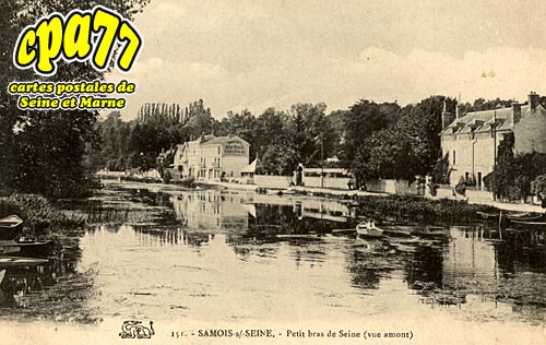 Samois Sur Seine - Petit bras de Seine (vue Amont)
