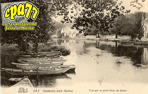 Samois Sur Seine - Vue sur le petit bras de Seine