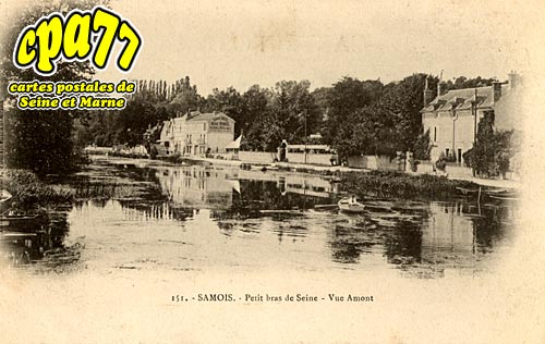 Samois Sur Seine - Petit bras de Seine - Vue Amont