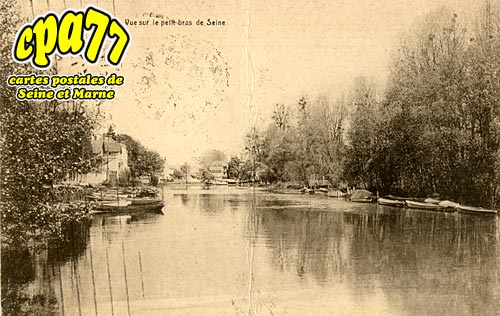 Samois Sur Seine - Vue sur le petit bras de Seine (en l'tat)