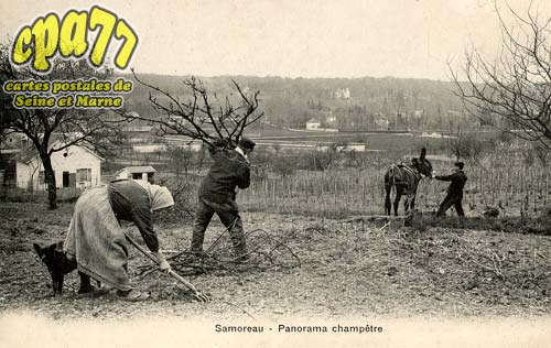 Samoreau - Panorama champtre
