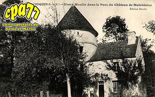 Touquin - Vieux Moulin dans le Parc du Chteau de Malvoisine