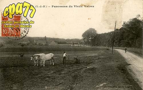 Vaires Sur Marne - Panorama du Vieux Vaires