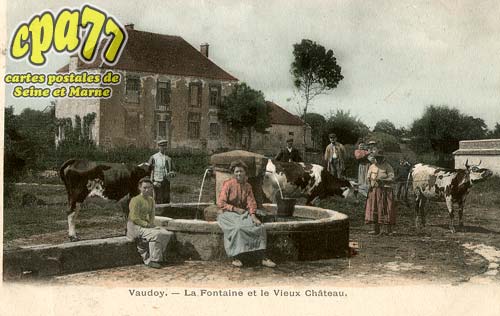Vaudoy En Brie - La Fontaine et le Vieux Chteau
