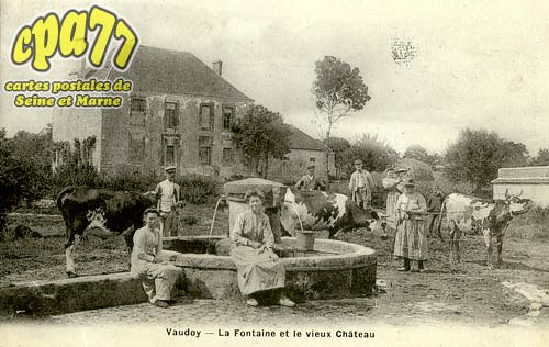 Vaudoy En Brie - La Fontaine et le vieux Chteau