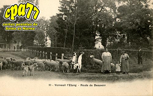 Verneuil L'tang - Route de Beauvoir