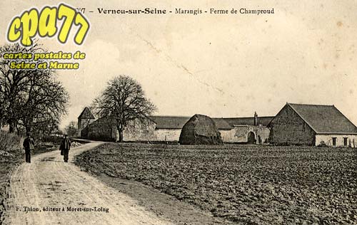 Vernou La Celle Sur Seine - Marangis - Ferme de Champroud