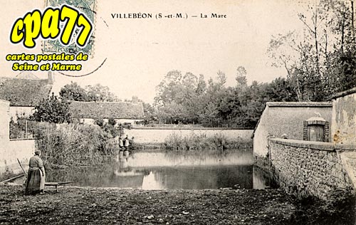 Villebon - La Mare