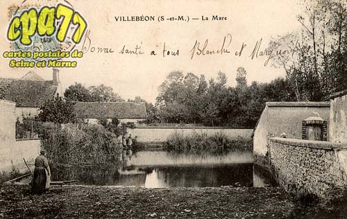 Villebon - La Mare