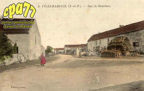 Villemareuil - Rue de Brinches