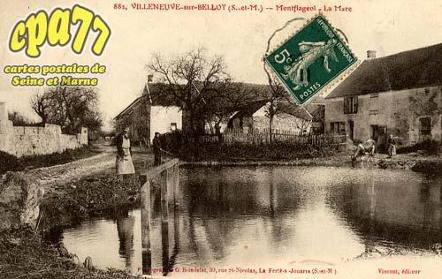 Villeneuve Sur Bellot - Montflageol - La Mare