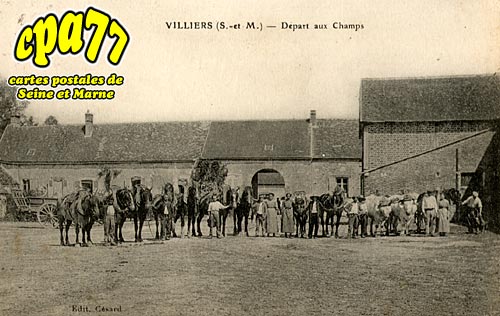 Villiers En Bire - Dpart aux Champs