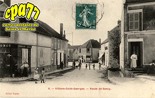 Villiers St Georges - Route de Sancy